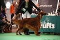 Crufts2011 840